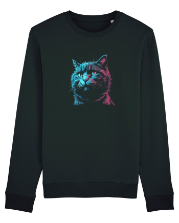PISICA / MOTAN ALBASTRU DE RUSIA - RUSSIAN BLUE Black