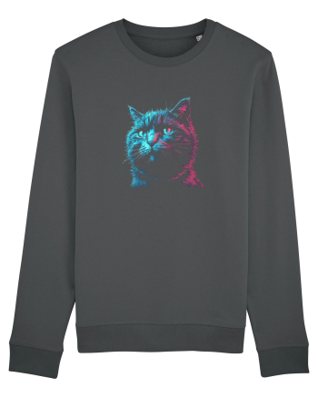 PISICA / MOTAN ALBASTRU DE RUSIA - RUSSIAN BLUE Anthracite