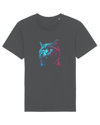 PISICA / MOTAN ALBASTRU DE RUSIA - RUSSIAN BLUE Anthracite