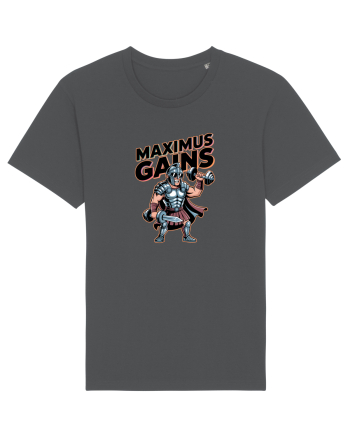 MAXIMUS GAINS Anthracite