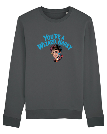 YOU`RE A WIZARD, HARRY! Anthracite