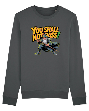YOU SHALL NOT PASS! NU VEI TRECE! Anthracite