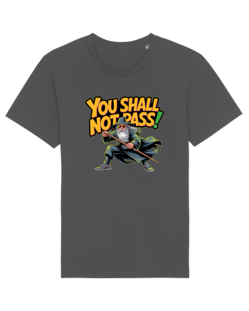 YOU SHALL NOT PASS! NU VEI TRECE! Anthracite