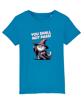 YOU SHALL NOT PASS! NU VEI TRECE! pisica protectoare Azur