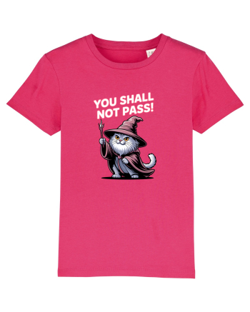 YOU SHALL NOT PASS! NU VEI TRECE! pisica protectoare Raspberry