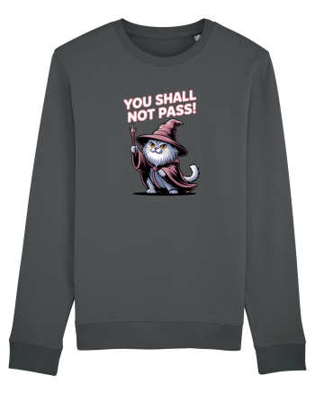 YOU SHALL NOT PASS! NU VEI TRECE! pisica protectoare Anthracite