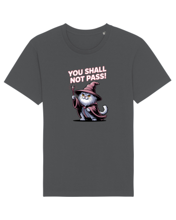 YOU SHALL NOT PASS! NU VEI TRECE! pisica protectoare Anthracite