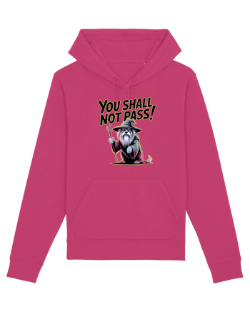YOU SHALL NOT PASS! NU VEI TRECE! caine de paza / protectie Raspberry