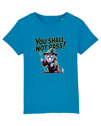 YOU SHALL NOT PASS! NU VEI TRECE! caine de paza / protectie Azur
