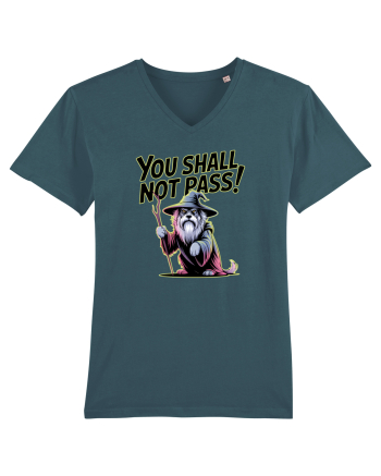 YOU SHALL NOT PASS! NU VEI TRECE! caine de paza / protectie Stargazer