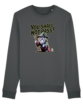 YOU SHALL NOT PASS! NU VEI TRECE! caine de paza / protectie Anthracite