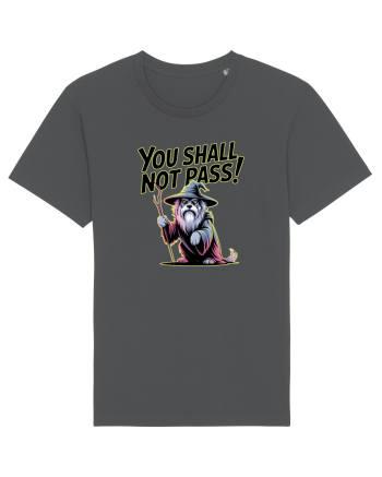 YOU SHALL NOT PASS! NU VEI TRECE! caine de paza / protectie Anthracite