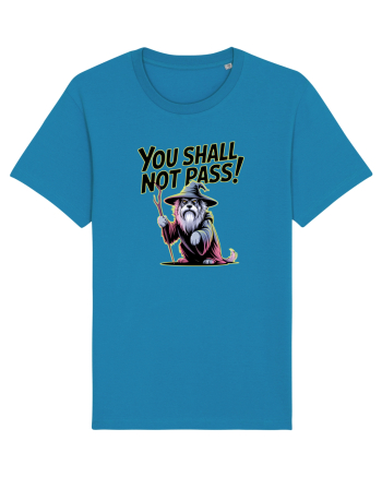 YOU SHALL NOT PASS! NU VEI TRECE! caine de paza / protectie Azur
