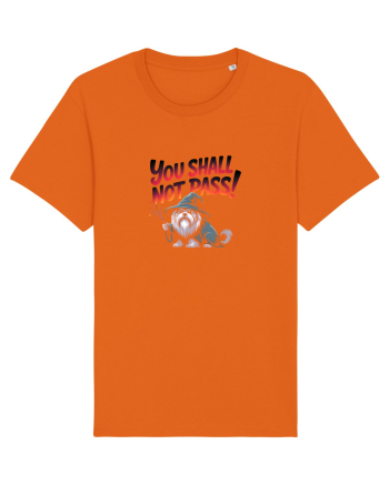 YOU SHALL NOT PASS! NU VEI TRECE! caine de paza / protectie Bright Orange