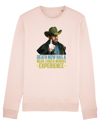 Chuck Norris Tribute RIP Candy Pink