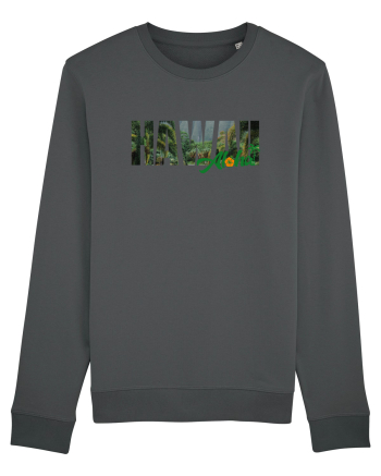 Hawaii  Anthracite