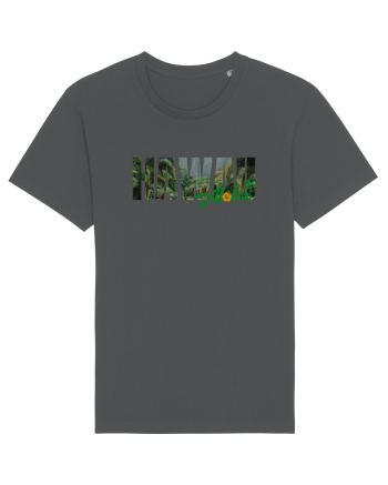 Hawaii  Anthracite