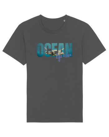 Ocean  Anthracite