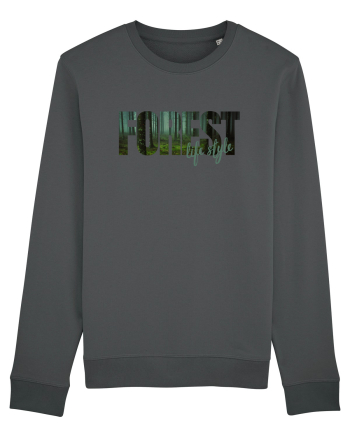 Forest  Anthracite