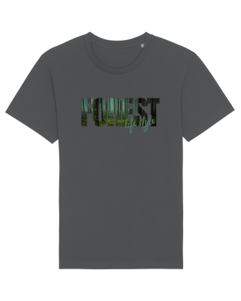 Forest  Anthracite