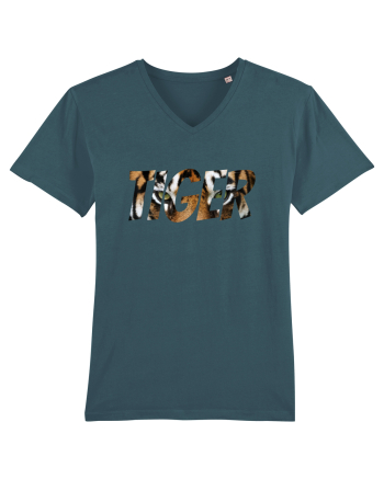 Tiger Stargazer