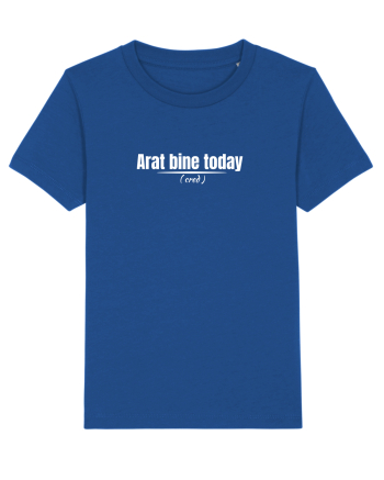 Arat bine today  Majorelle Blue
