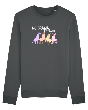 No drama,just lama  Anthracite