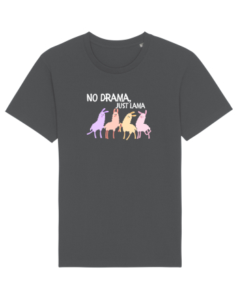No drama,just lama  Anthracite