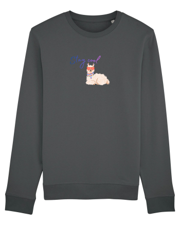 Stay cool Anthracite