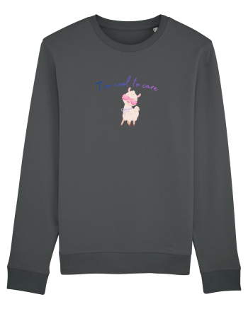 Too cool to care  Anthracite