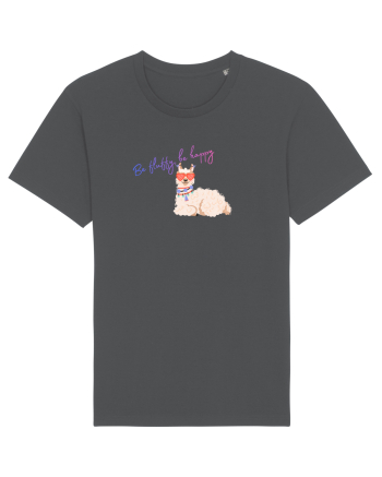 Be fluffy,be happy  Anthracite