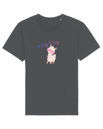 Be fluffy,be happy  Anthracite