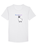 Too cool to care  Tricou mânecă scurtă guler larg Bărbat Skater