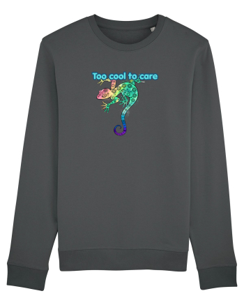 Too cool to care  Anthracite