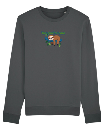 Too cool to care  Anthracite