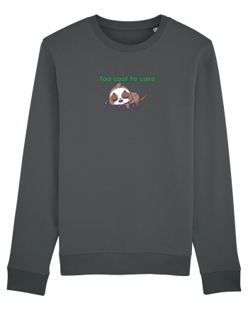 Too cool to care  Anthracite