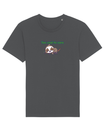 Too cool to care  Anthracite