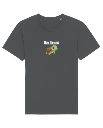 Slow life club  Anthracite