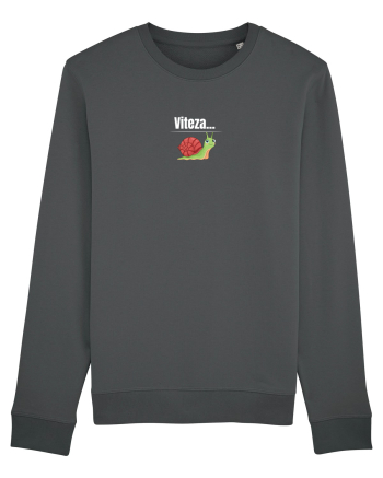 Viteza...melcului  Anthracite