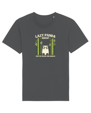 Lazy Panda Nursery – Plante care cresc aproape singure Anthracite