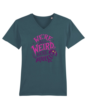We’re All Weird Here – Cățel ciudat și adorabil Stargazer