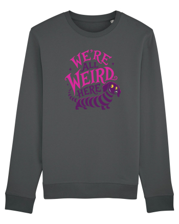 We’re All Weird Here – Cățel ciudat și adorabil Anthracite