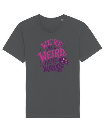 We’re All Weird Here – Cățel ciudat și adorabil Anthracite