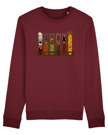 Cartoon Experiments – Laborator haotic cu personaje funny Burgundy