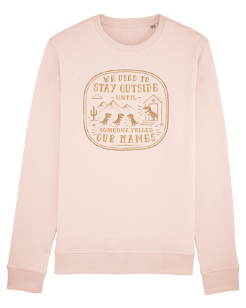 We Used To Stay Outside – Funny Dinosaur Retro Shirt Candy Pink