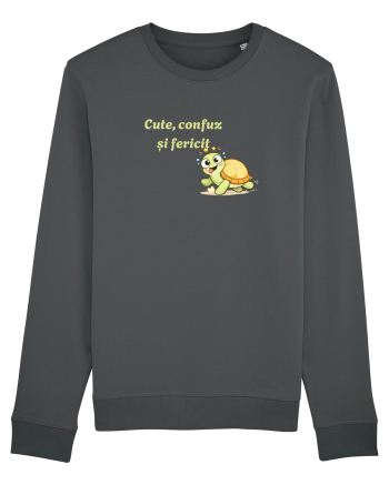 Cute,confuz și fericit  Anthracite