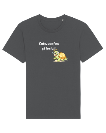 Cute,confuz și fericit  Anthracite