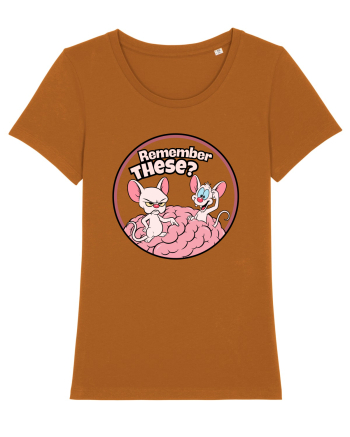Remember These? Nostalgic Ironic Cartoon Mice Roasted Orange