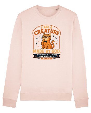 Cu pisici si religie. Christian Cat Lover Faith Apparel for Cat Owners Matt Candy Pink