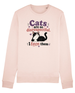 Funny Cat Lover Quote Disrespectful Cat Humor Sarcastic Feline Owner Bluză mânecă lungă Unisex Rise